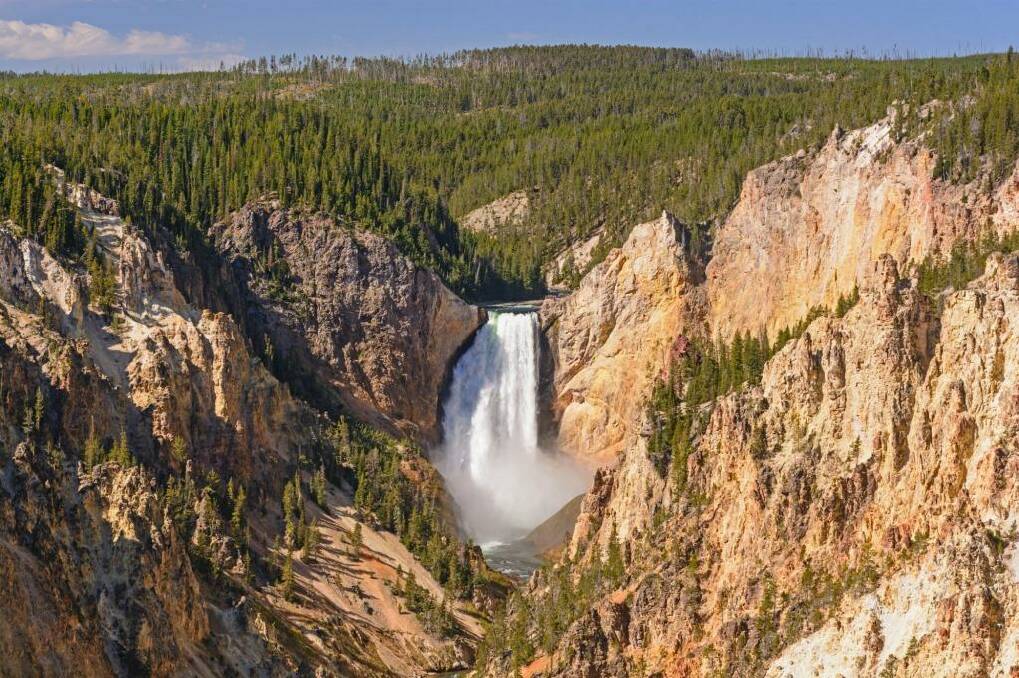 Lower Yellowstone Falls from Artist's Point in Yellowstone National Park. Photo: iStock