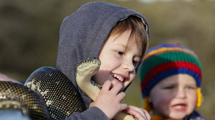 Oliver De Bry, 7, gets to pat a Diamond Python at the La Perouse snake show.  Photo: Brook Mitchell