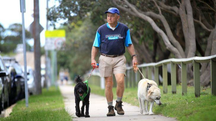 Potential app user: Brian Parcell of Maroubra takes his dogs Ollie and Tessa for a walk. Photo: James Alcock