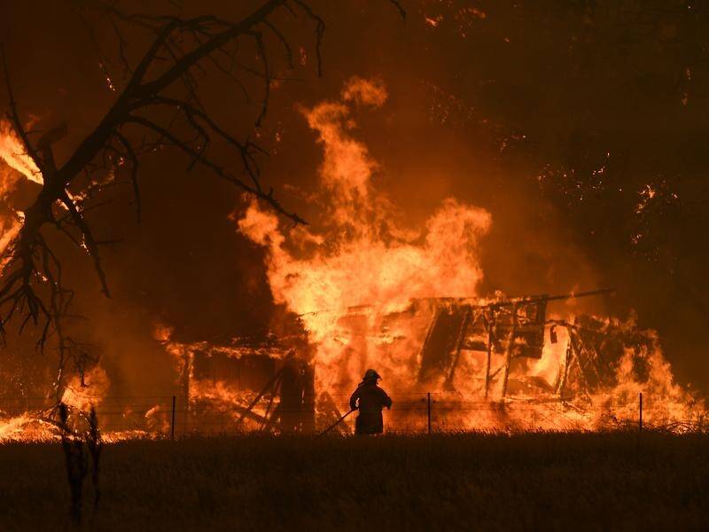 The NSW coroner says it was remarkable more lives were not lost to the Black Summer bushfires. (Dan Himbrechts/AAP PHOTOS)