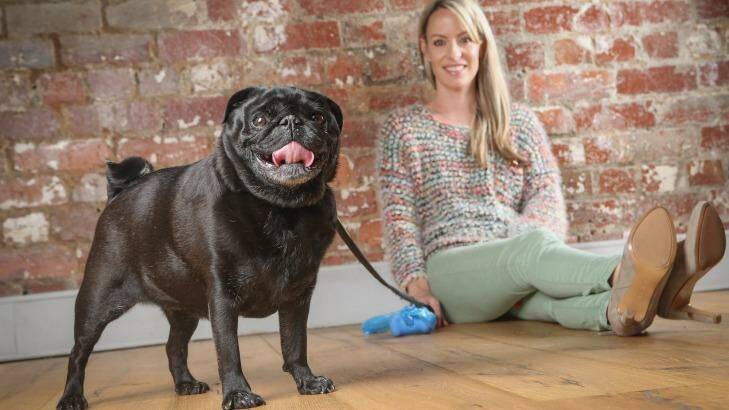 Amanda Campbell has pet insurance for Henry, her six-year-old pug. Photo: Wayne Taylor