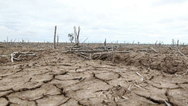 Drought conditions are spreading into the lower Murray-Darling Basin. Photo: Peter Rae