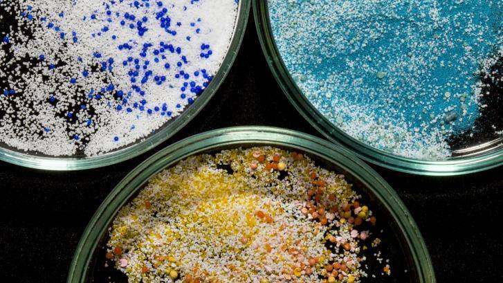 Plastic microbeads isolated from face and body scrubs. Photo: RMIT University
