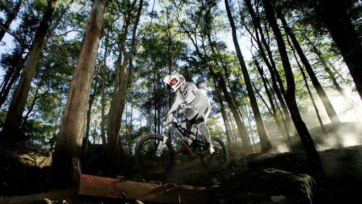 Mountain and trail bikers would benefit from an end to logging in state forests, Greens say. Photo: Stuart Quinn SQQ