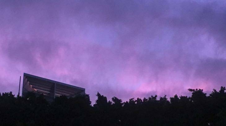The sunset fades to purple over Hyde Park. Photo: Michele Mossop