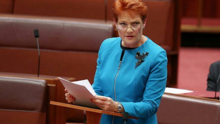 Pauline Hanson said Australia was in danger of being "swamped" by Muslims Photo: Alex Ellinghausen