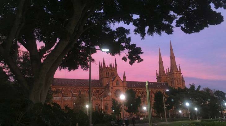 Pink and purple over St Mary's Cathedral at Hyde Park.

IMG_1648.JPG Photo: Michele Mossop
