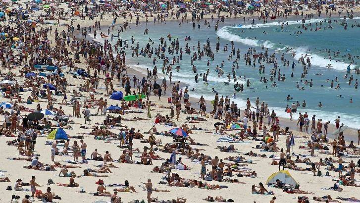No respite in sight: All of Sydney is expected to swelter on Tuesday and Wednesday. Photo: Ben Rushton