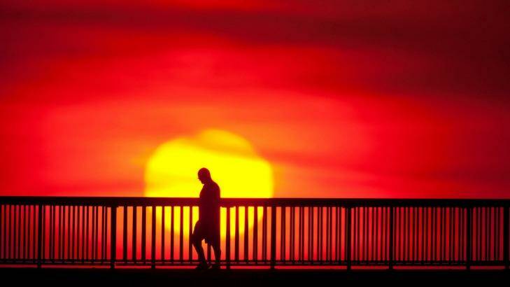Seltering: Sydney may get its warmest November day in at least four years on Friday. Photo: Glenn Campbell