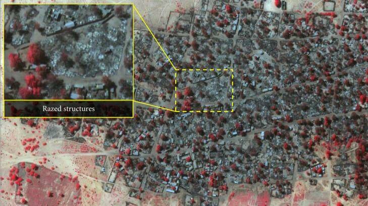 An infrared satellite image shows Doron Baga on January 7, with trees and buildings gone. Photo: AP/Digital Globe via Amnesty International