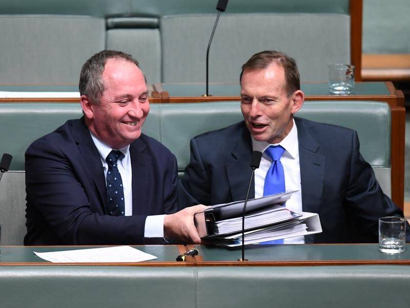Labor expects Barnaby Joyce to stir the pot when he becomes a backbencher like Tony Abbott.