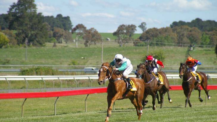 End of the line: Star Of Universe with Sophie Young in the saddle. Photo: Racing NSW