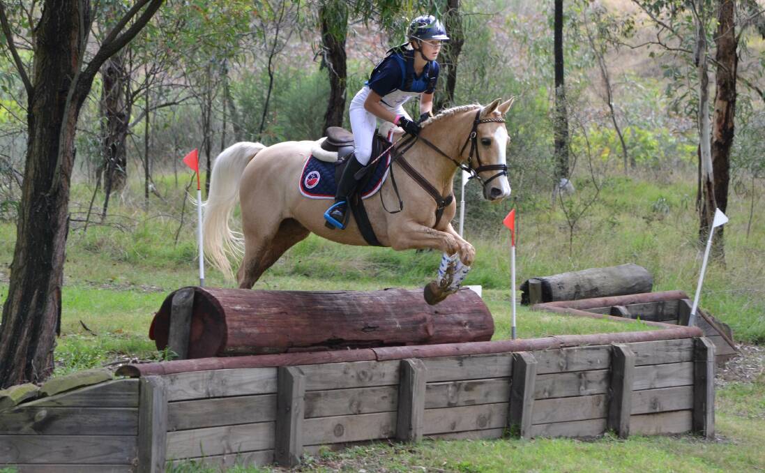 CONCENTRATION: Zoe Hutchinson and her horse Monty complete a recent cross country event.