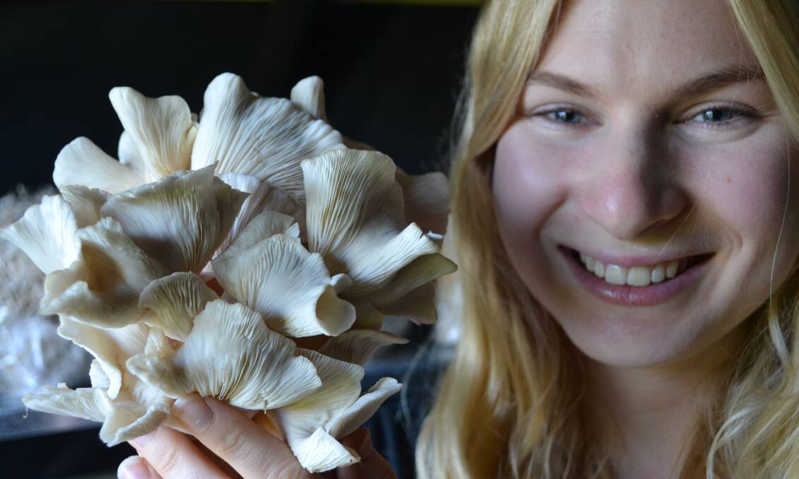 FEELING FUNGI: Marita Smith with some of her organic oyster mushrooms grown on her family’s Milton property.