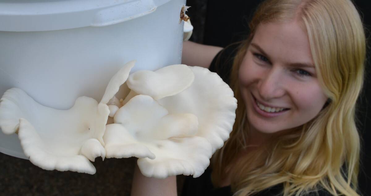 HEALTHY: Marita grows some of her mushrooms in large buckets.