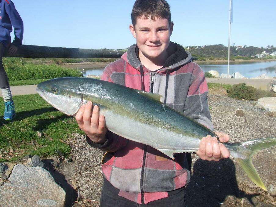 All the catches of the week from the Narooma Bermagui area