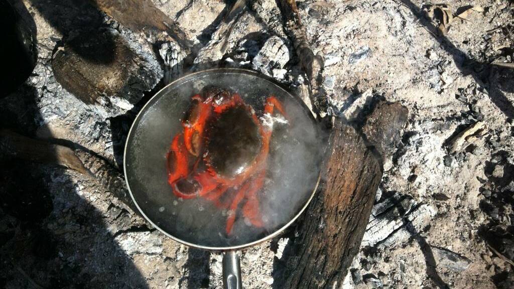 MYSTERY CRAB: Tania and Ray also sent a nice photo of a big mud crab in the pot over the campfire but we’re not sure whether they caught it the inlet or got it at the fish shop. 