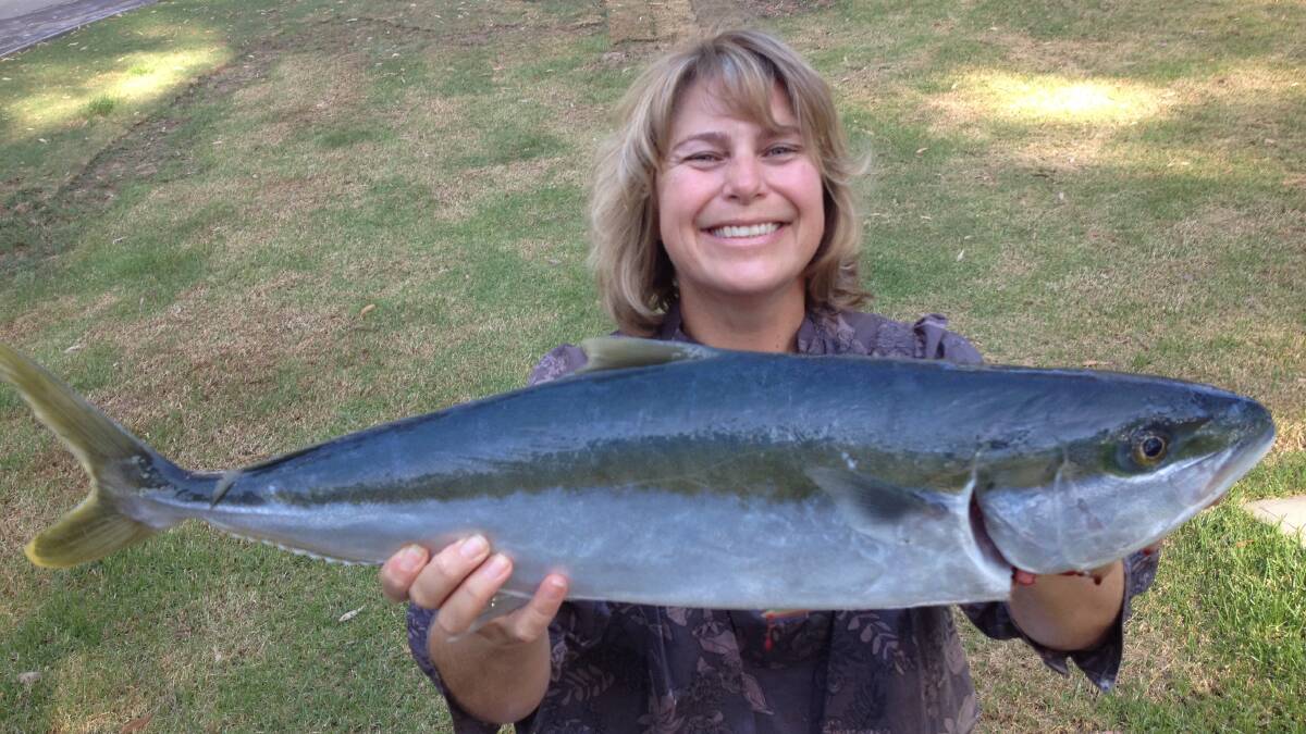 JULIE KING: Julie Melville of Narooma and her 77cm kingfish. It was caught off Montague Island and is one of the four that she caught lasy weekend ! Oh and if you're asking "I did beat the boys (brother and husband) who only caught two each, they were ‘NOT HAPPY JAN’.”  