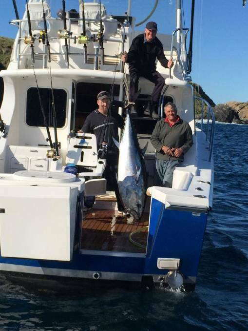 FISH LANDED: A photo of the southern bluefin tuna once landed on board the Reel Weapon skippered by Dick Brown. The angler was Jason Madex and the deckie/gaffman was Matt Verde.  