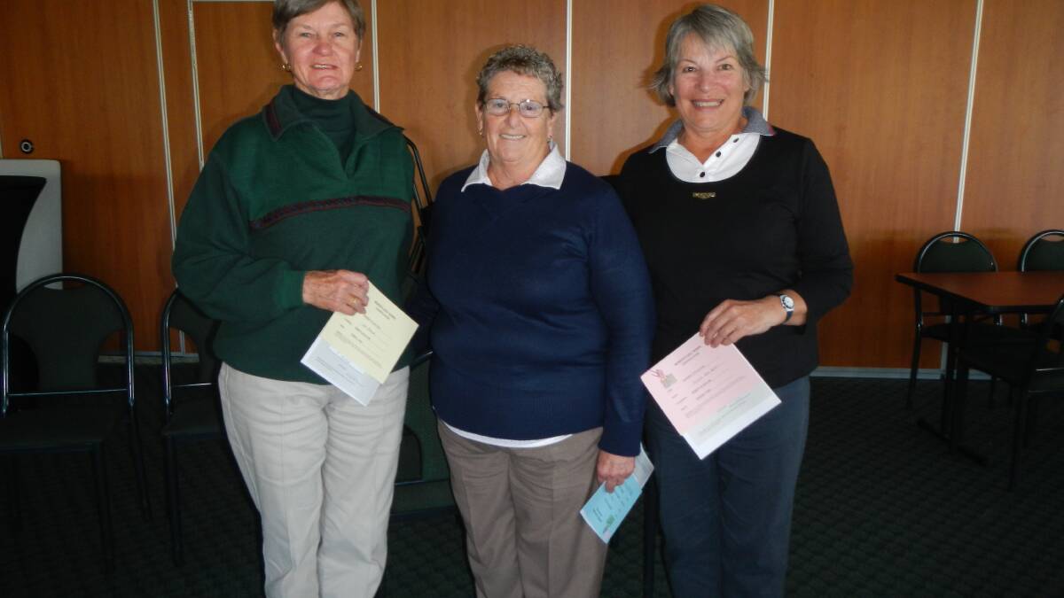 TOP EFFORT: Jan Buttle, Coral Orford and Sonja Van Hoof were the division winners of the par round at the Nowra Women’s Golf Club. 