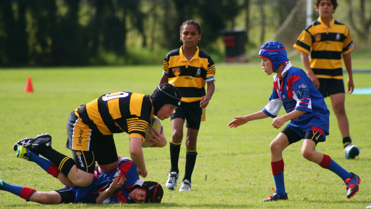 POWER MOVE: Under 12 Nowra Warrior Zeb Maddinson steam rolls over the top of a Gerringong opponent last weekend. 