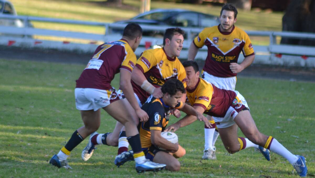 REDEMPTION: The Shellharbour City Sharks will be seeking redemption for last week’s loss to the Nowra-Bomaderry Jets when they take on Kiama on Sunday. Photo: PATRICK FAHY 