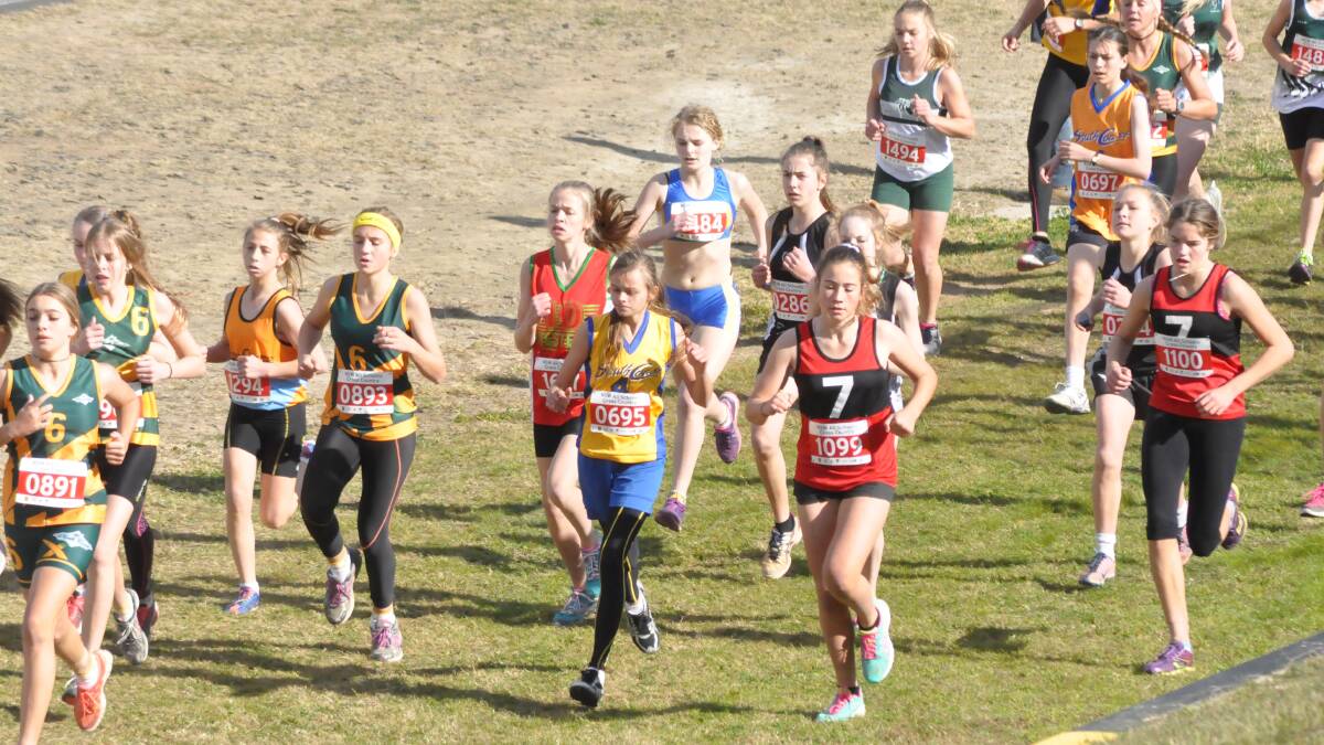 OFF AND RUNNING: Runners from all over NSW took part in last Friday’s  NSW All Schools Combined High Schools and Primary Schools Sports Associations Cross Country Championships. 