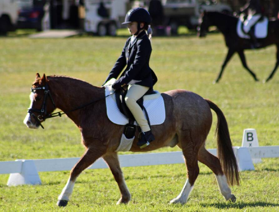 HOT TO TROT: Rachel Heron rides Rose Eden at the Shoalhaven Dressage Club’s June competition. Photos: JUDITH RUDWICK 