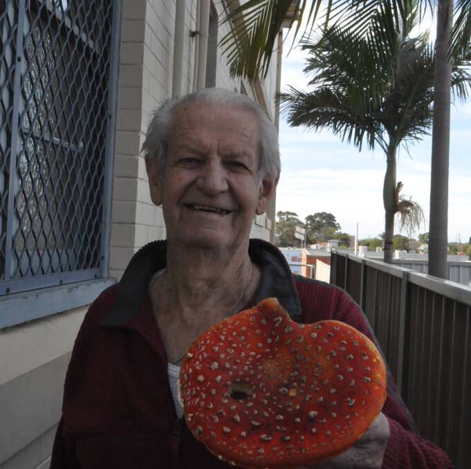 Roy Stevens with the giant mushroom he found on the grass verge on Greenwell Point Road at Greenwell Point on Thursday morning.