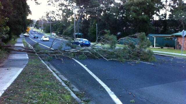 UPDATE: 600 Shoalhaven residents without power |VIDEO
