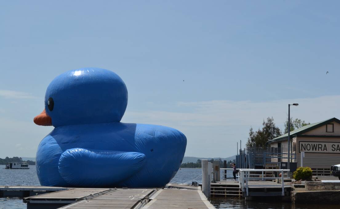 Burt the giant blue duck dwarfs the pontoons at the Nowra Sailing Club.