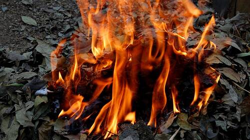 Firebugs have been setting fire to piles of leaves in the Worrigee area.