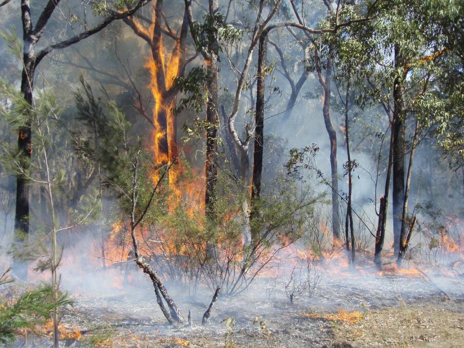 A series of strategic hazard reduction burns are planned for the Shoalhaven over the next few days, which may produce large plumes of smoke in the area.