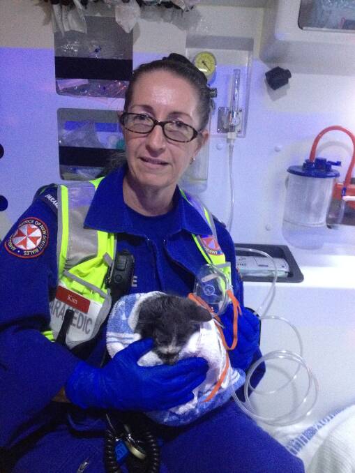 NSW Ambulance paramedic Kim Saunders with Smoky on Friday, after he was rescued from a house fire in Nowra and resusitated. Photo NSW AMBULANCE.