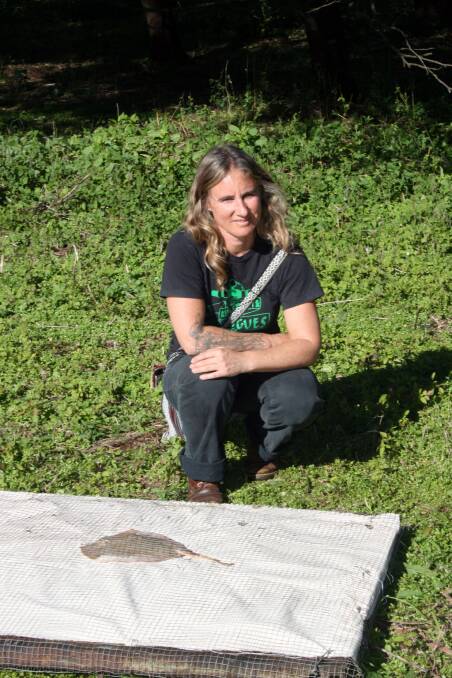 Vanessa Barbay pictured at Bundanon during her residency with her work in progress of a skate which she found washed up on the beach.