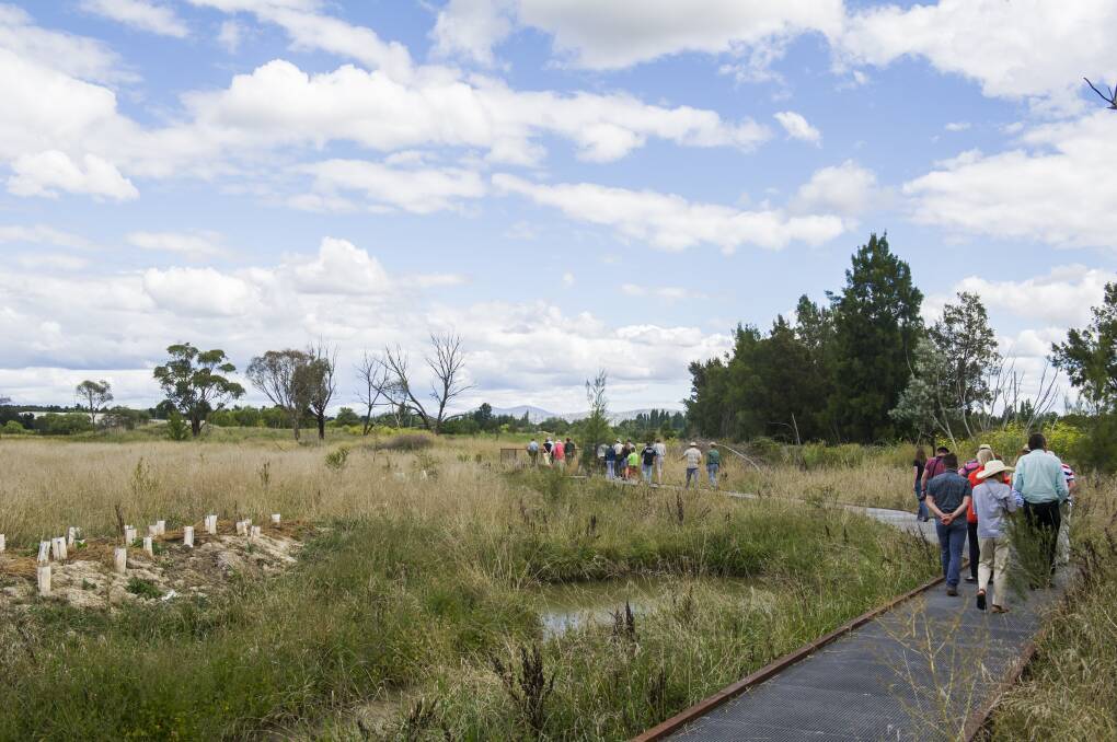 The recent opening of the wetlands boardwalk. Fairfax image.