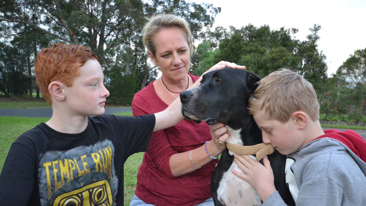 SAFE NOW: Vanessa Geange with her sons Aiden and Callum and their dog Bella who survived a pitbull attack recently.