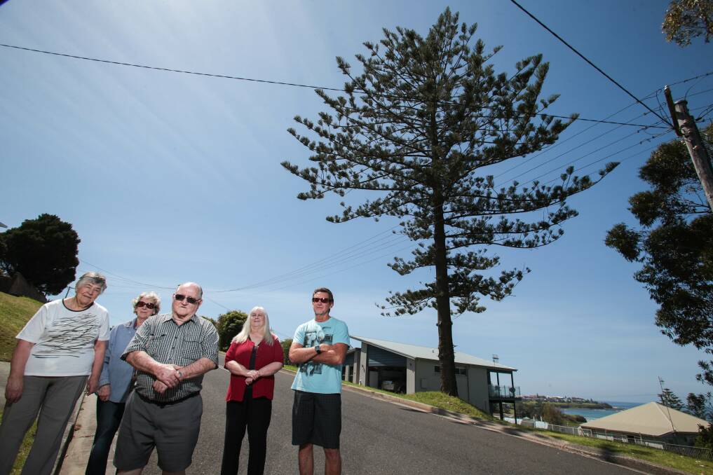PROTECTIVE: Hedi Stein, Stella Osten, Bernie Waddell, Dorothy Leyshan and Peter Matthews and the landmark pine tree at Riverleigh Street. 	Picture: ADAM McLEAN