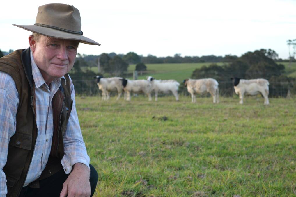 JUST SIX: Parma farmer Bill Davies said he can’t find it in him to bury anymore sheep after dogs attacked and killed two of the eight remaining in his flock. The six left are recovering from puncture wounds and are timid after the trauma.