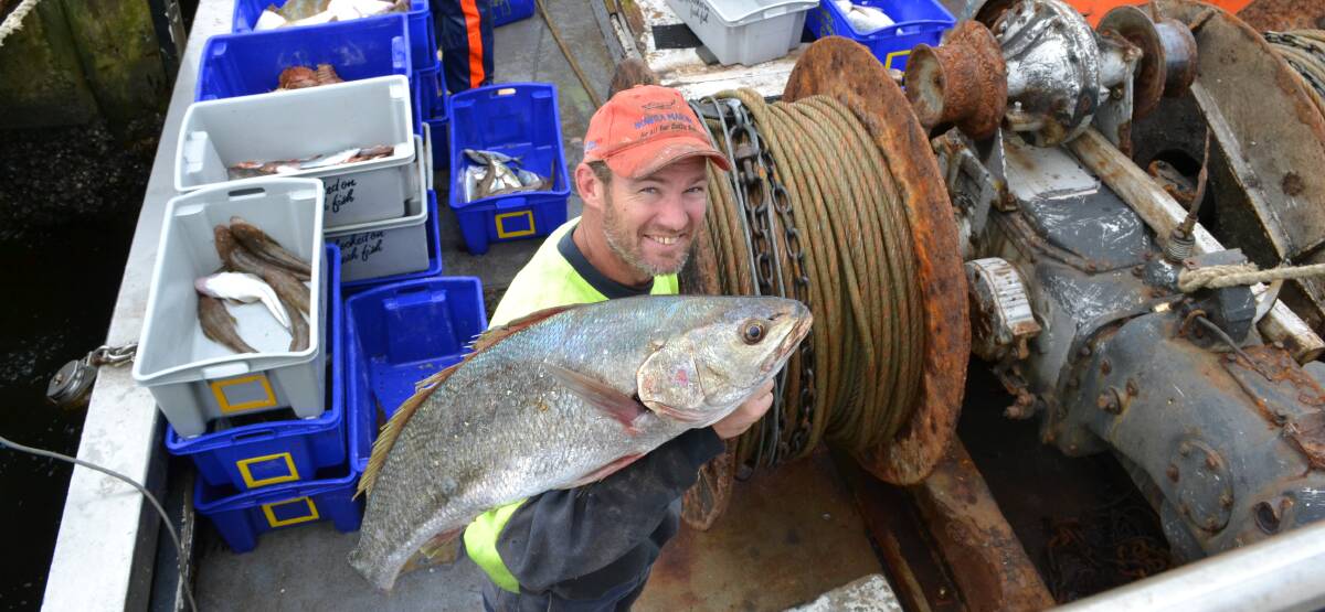 NICE CATCH: Fisherman Scott Rowley with a jewfish fresh off the boat at Greenwell Point, just in time for Good Friday.