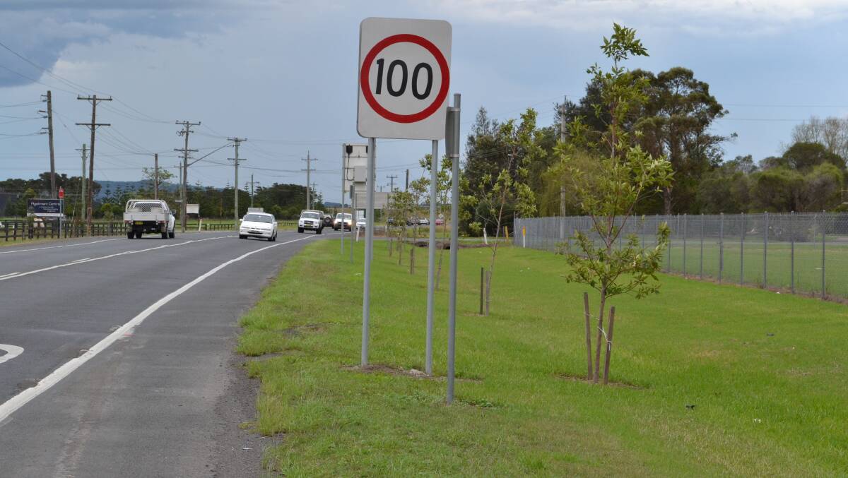 GOING: A number of trees on Bolong Road just north of Bomaderry planted by Shoalhaven City Council just five metres from the edge of the roadway in a 100km zone are set to be removed.