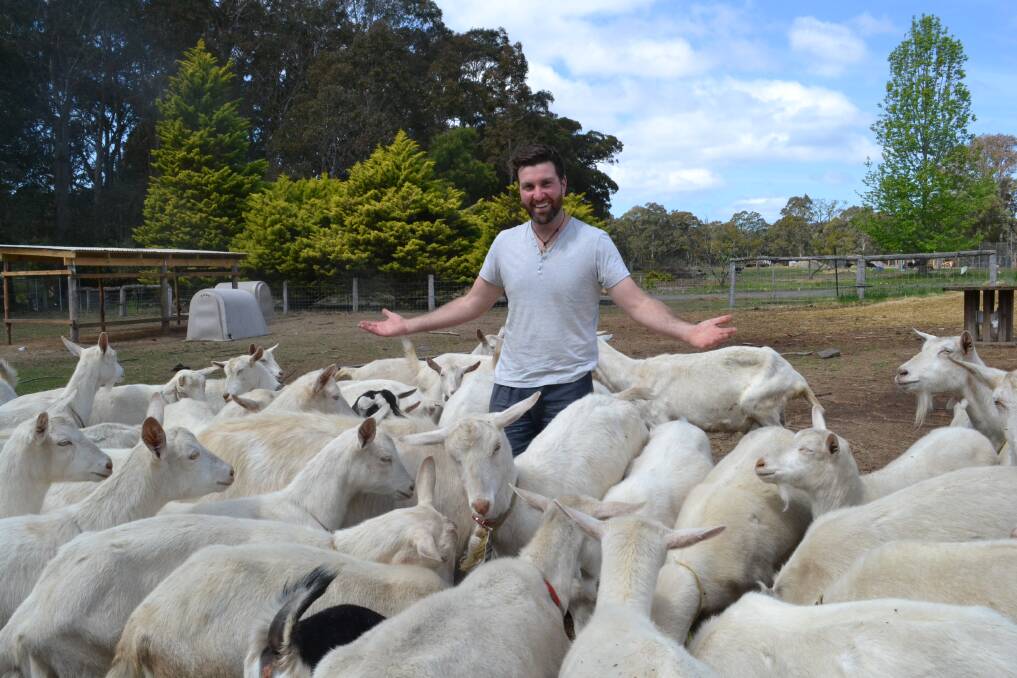 NO KIDDING: Caleb Graham is set to establish a milking goat operation at Falls Creek.