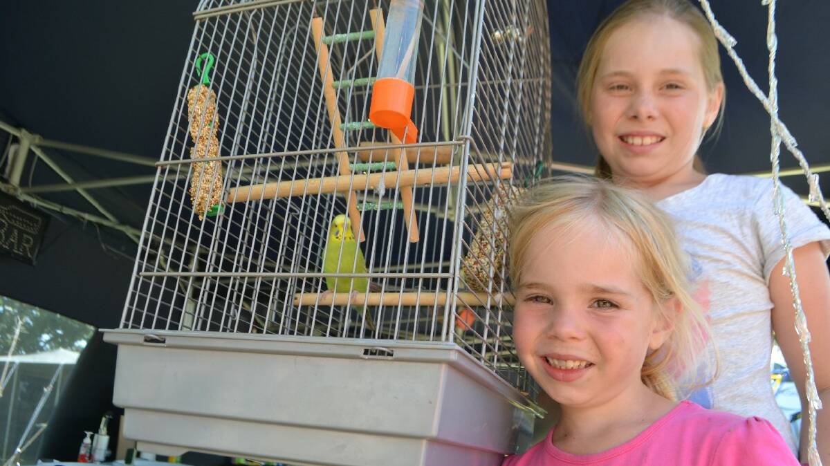 BATEMANS BAY: Megan and Keira Barutzki brought their 

budgie Milo from Victoria to Batemans Bay for the 

holidays. Their family has holidayed at the Batemans 

Bay Beach Resort for the past 11 years with their 

group now spread across 10 camp sites. 