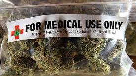 Nowra cancer sufferer pleads for medical cannabis: POLL