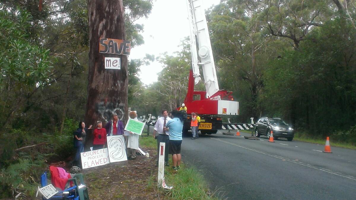 Protesters and media are on scene as contractors prepare to bring down the bum tree. 