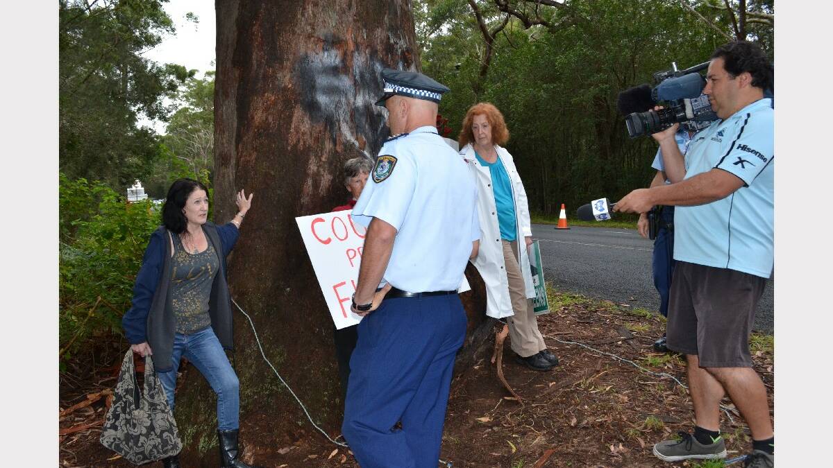 Protesters out in force as the Bum Tree is destroyed on Gerroa Road.