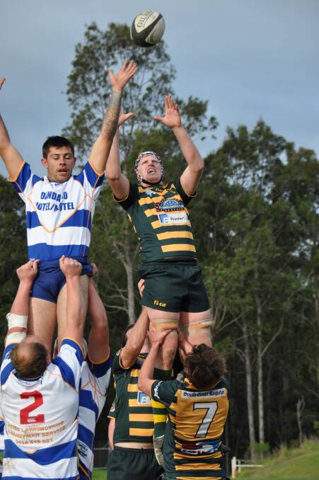 HIGH FLYER: Mitch Hardy has stepped up as the club captain for Shoals this year.  Photo: GILLIAN LETT 