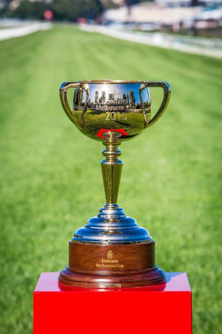 SPECIAL VISITOR: The Emirates Melbourne Cup will be in Nowra this Friday.