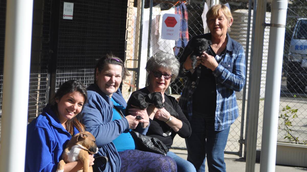 CALL-OUT: The RSPCA Nowra Branch is always looking for more members. Pictured is RSPCA employee Kaitlin Bicknell with RSPCA Nowra Branch volunteers Jeannette Norton, Gale Bishop and Margaret Whalan. 