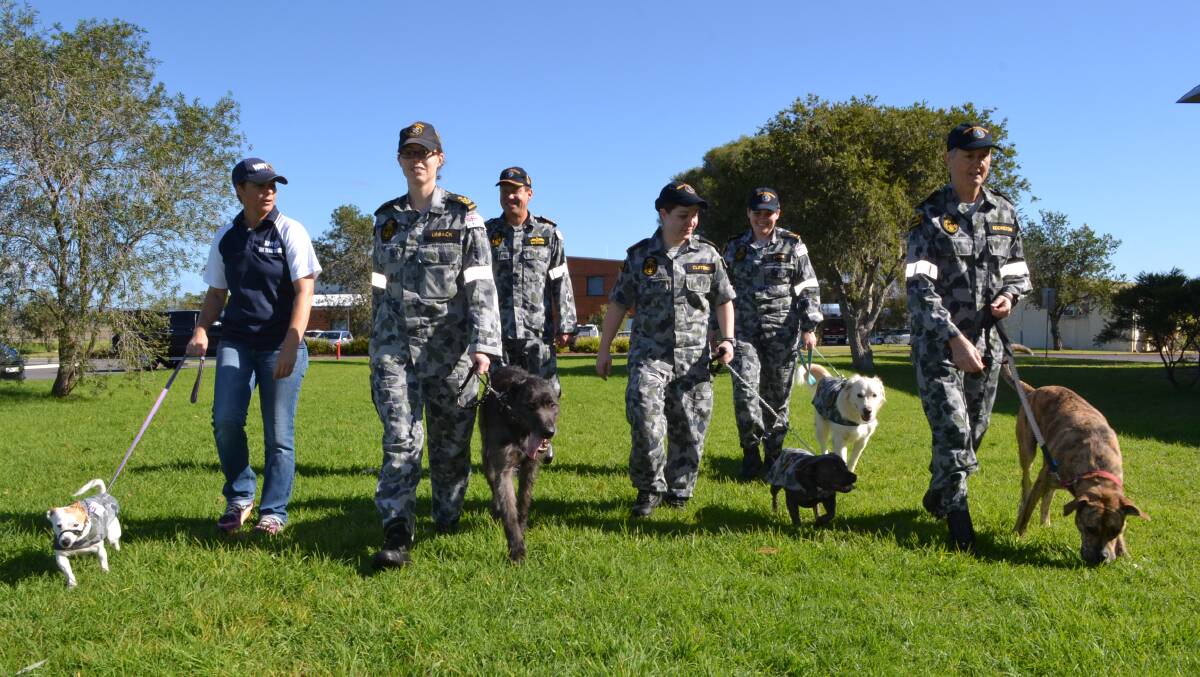 MARCHING ORDERS: HMAS Albatross commanding officer Captain Simon Bateman joins local personnel and their dogs ahead of Sunday’s 20th annual RSPCA Million Paws Walk fund-raiser in Wollongong.
